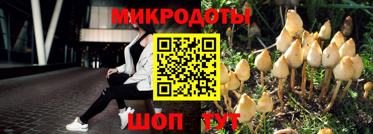 Галлюциногенные грибы Cubensis  Вход с VPN  Магадан 